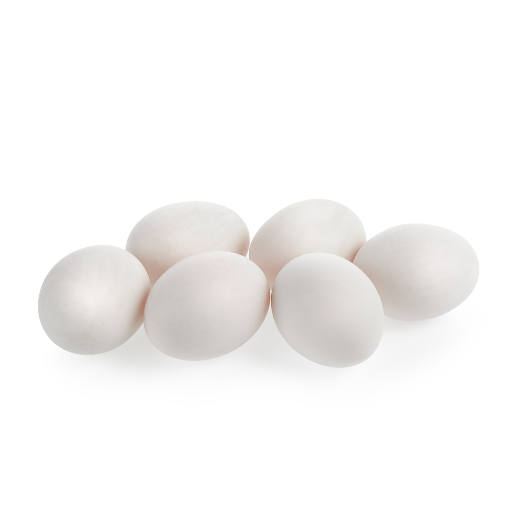 Fresh White Eggs Case