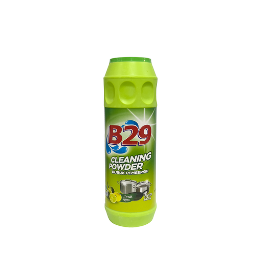 B29 Scouring Powder 600g Bot