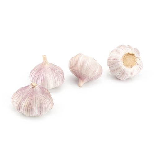 [46001S] Sale Garlic Fresh White 10kg Bag