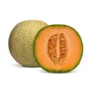 Rock Melon 14kg Tray Damaged