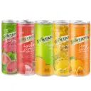 Suntana Fruit Juice 245ml